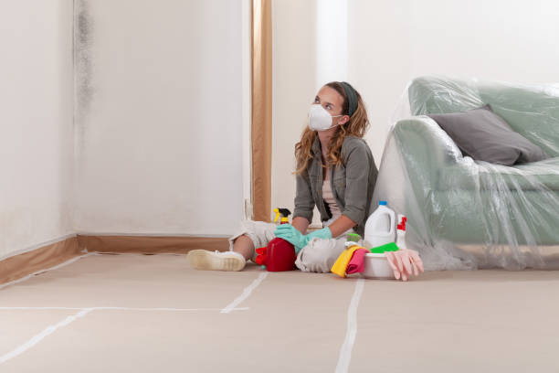 Reliable Commercial Mold Remediation contractor in Madison, MD by WQB Mold Removal